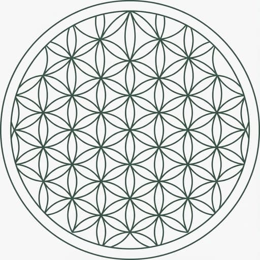 Conexión humana y consciencia